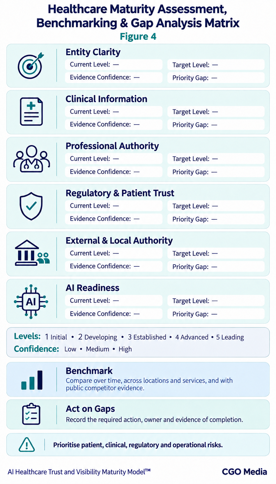 Healthcare maturity assessment matrix with current level, target level, evidence confidence and priority gap fields across six dimensions.